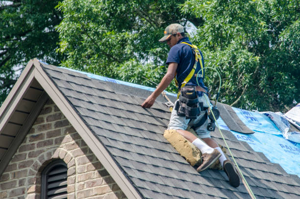 Quick and Trustworthy Emergency Roof Repair Services in Rancho Calaveras, CA